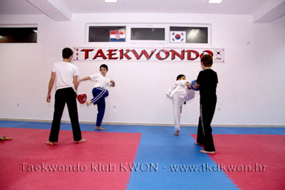 taekwondo kwon training